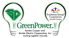 green power logo